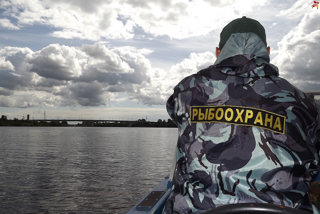 ����������� ������� ������� �������� ����������� �� ��������� ���������� �������� �����