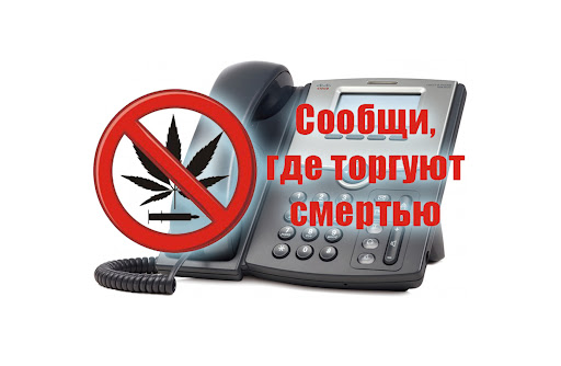 ���������: �������, ��� ������� �������!�